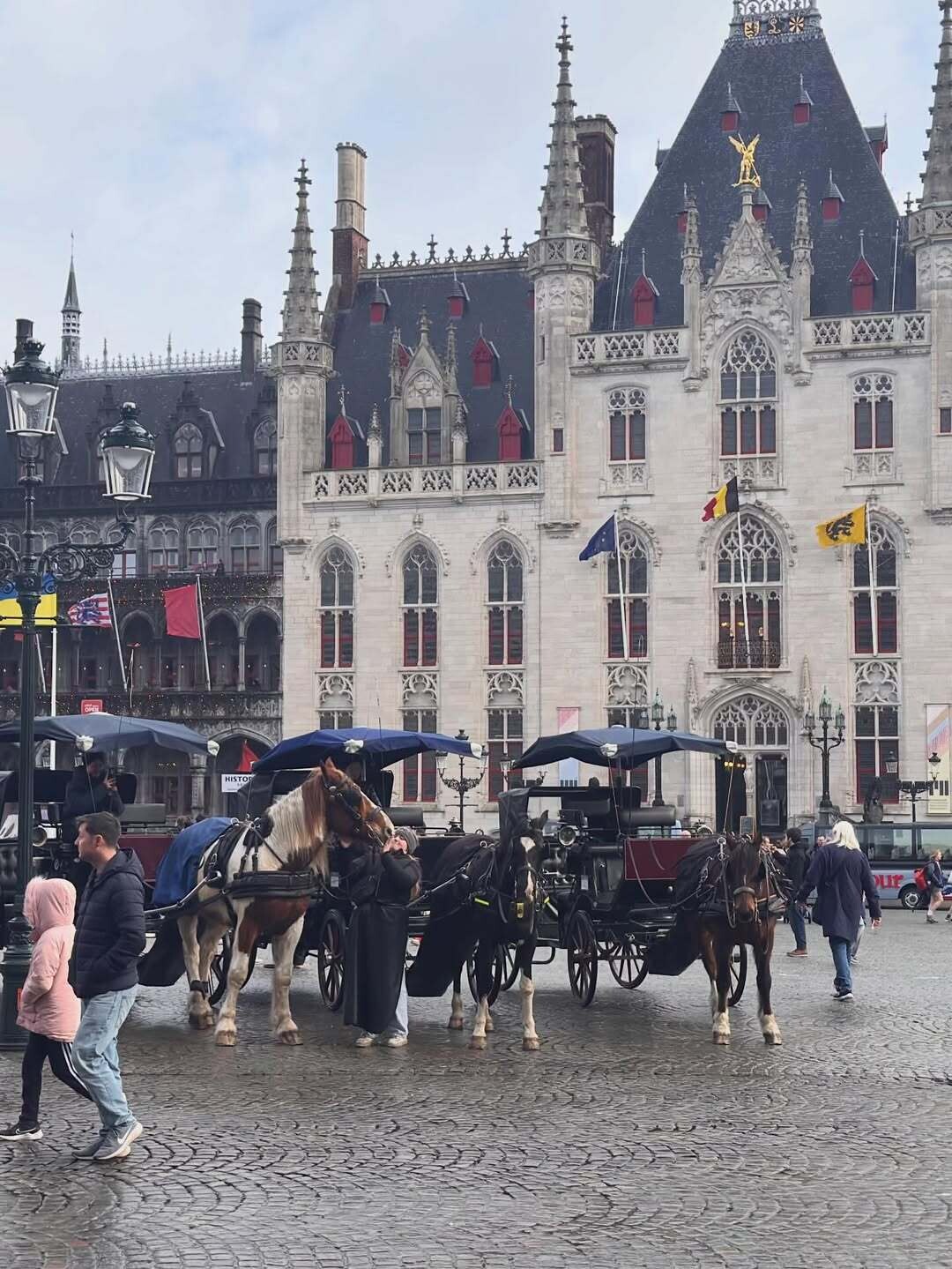 SnapInsta.to 640352435 18363976912165746 5752617736739980962 n 9ceab