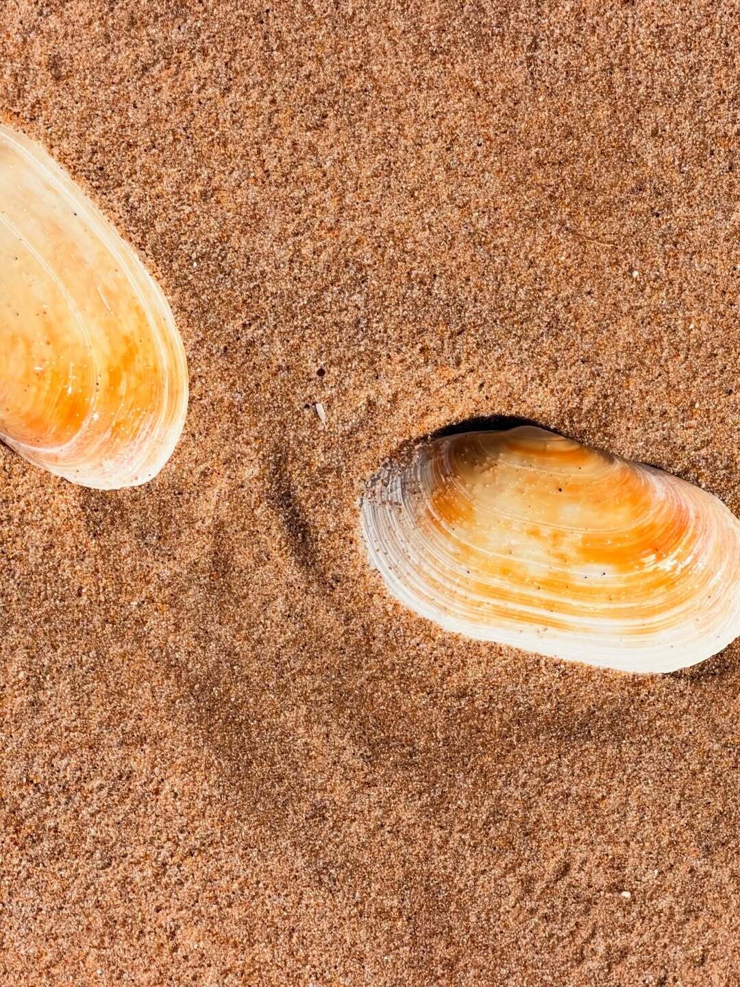 SnapInsta.to 640388333 18570644011035809 6353826479262861434 n 3eede