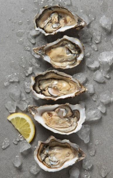 Στιγμιότυπο οθόνης 2026 02 26 195025 00dbc