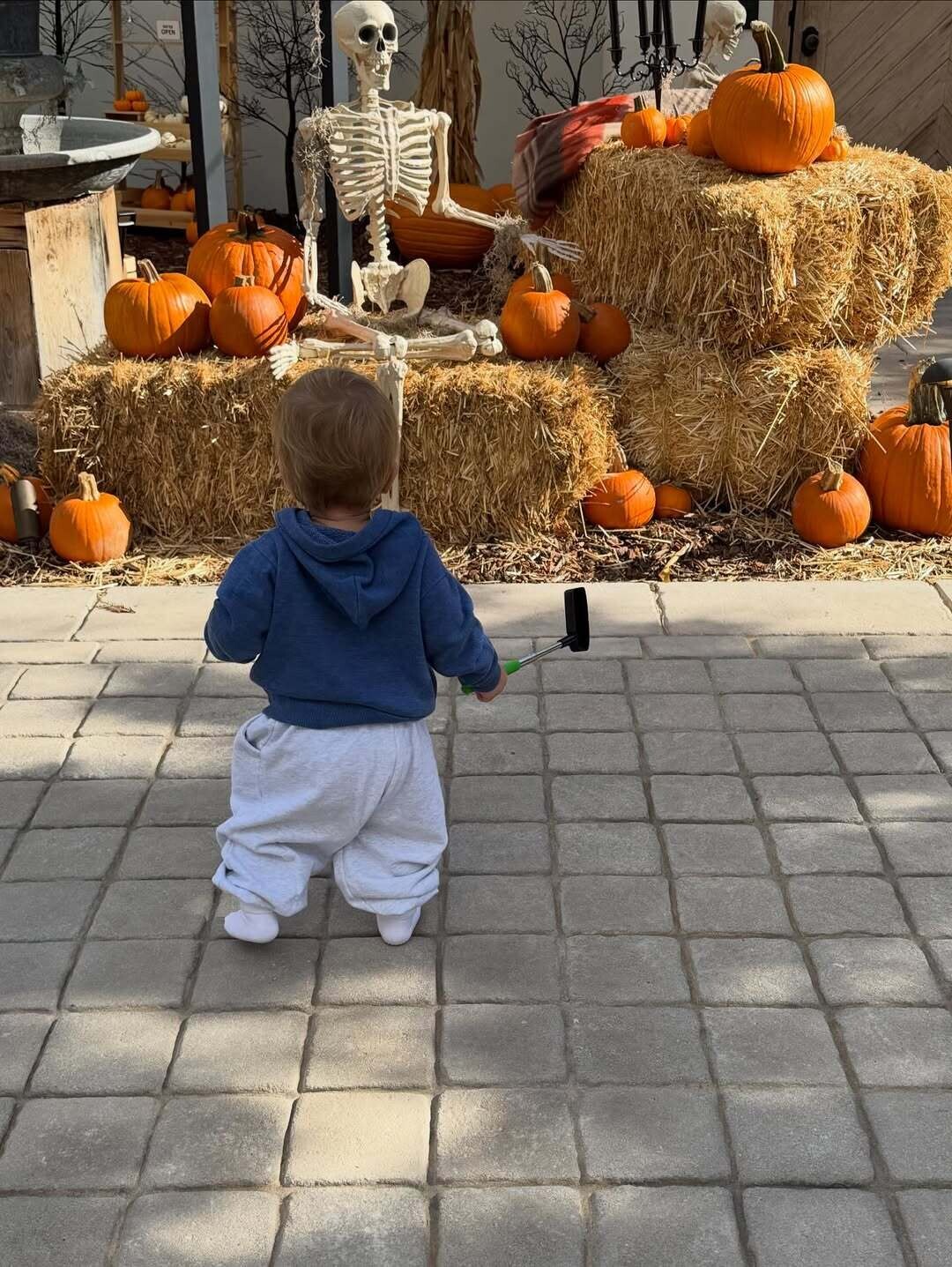 SnapInsta.to 558857689 18551192008037292 776069062313764872 n b737f