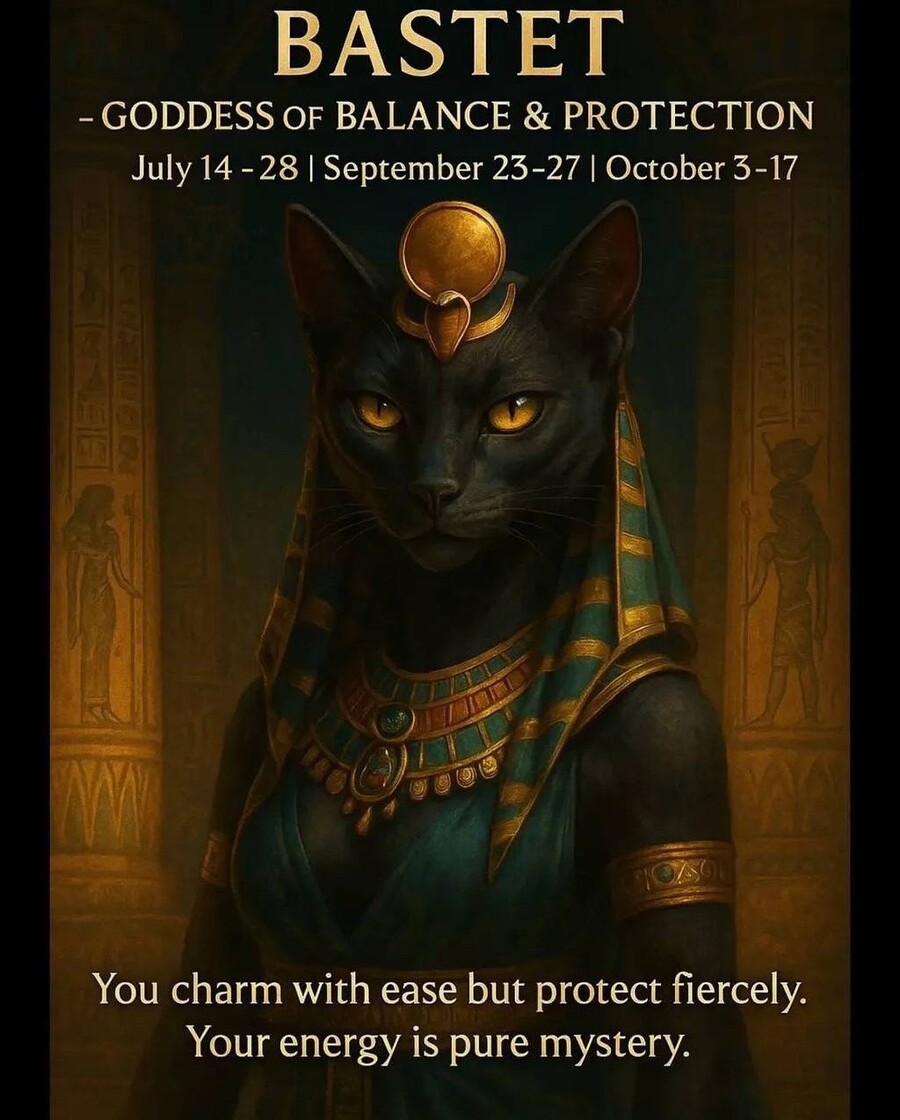 BASTET_f4481.jpg