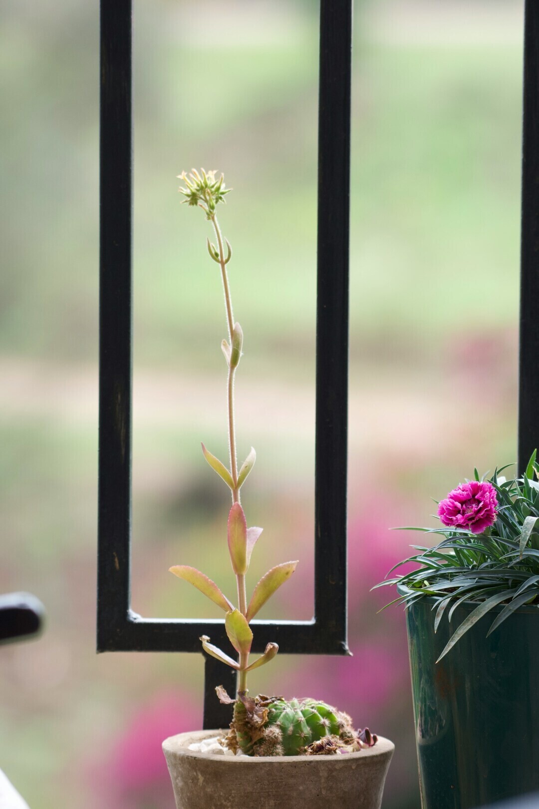 julius mburu smgXUObCG0g unsplash 1 f4987