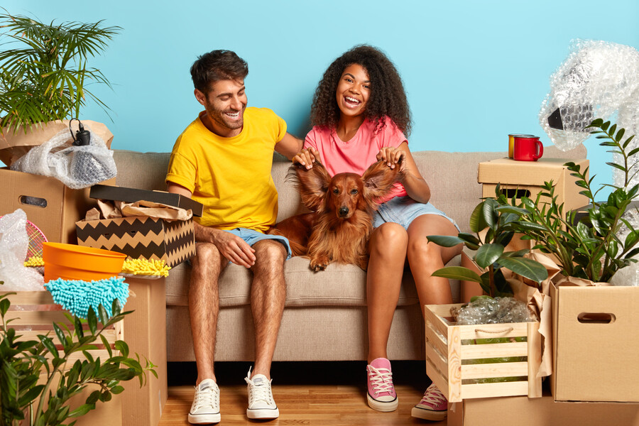 starting-new-life-recently-bought-apartment-happy-diverse-woman-man-have-fun-with-dog-play-with-its-ears-pose-sofa-have-bring-everything-order-enjoy-first-day-new-home_e9f95.jpg