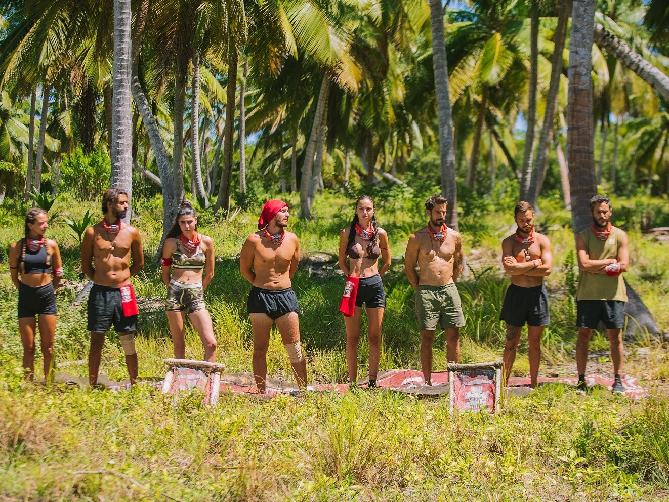 SURVIVOR 02 11 3a1bf