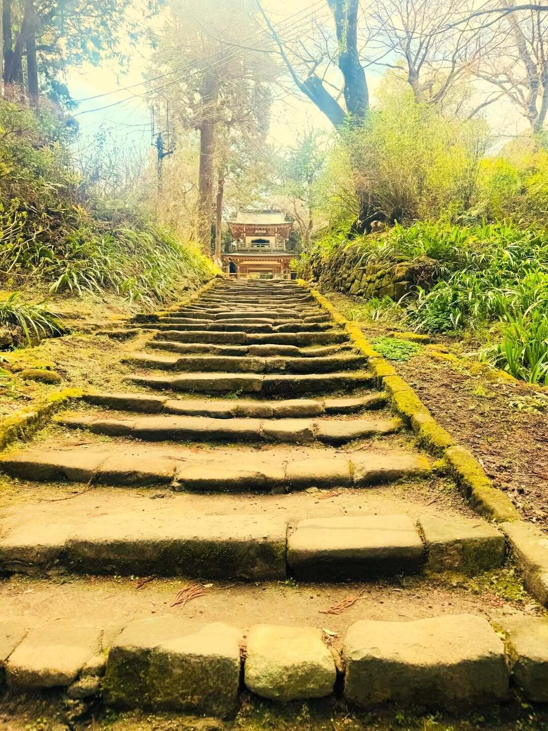 SnapInsta.to 652768351 18567738949039007 4253738360065028063 n 278a0