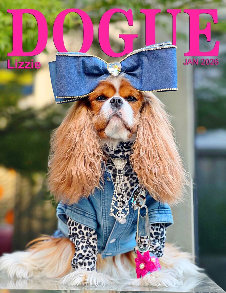 DOGUE_MAGAZINE_12_ef46c.jpg