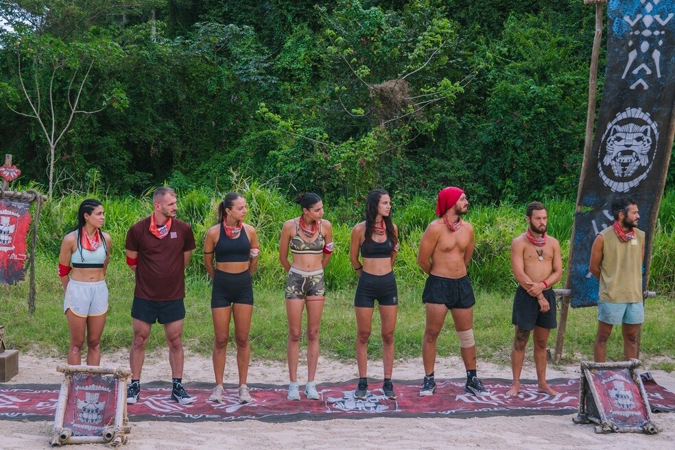 SURVIVOR 02 14 8988f