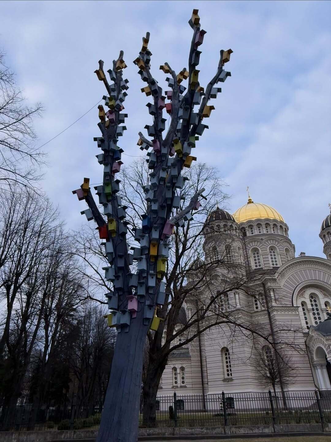 SnapInsta.to 657461043 18578370850037376 149800883865998227 n 1d0d3