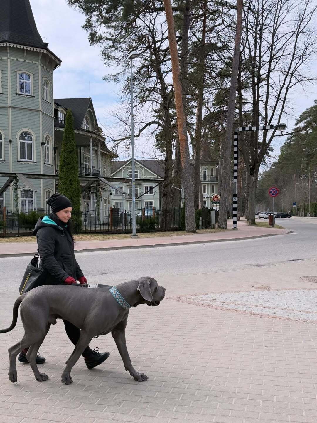 SnapInsta.to 658907024 18578371909037376 7157956558963034336 n 5bf00