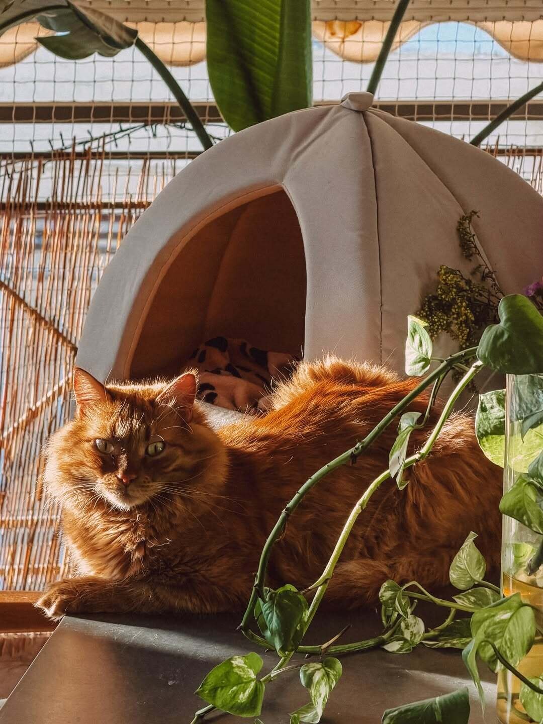 SnapInsta.to 658336095 18576206926049857 1438212726128269294 n 5109b