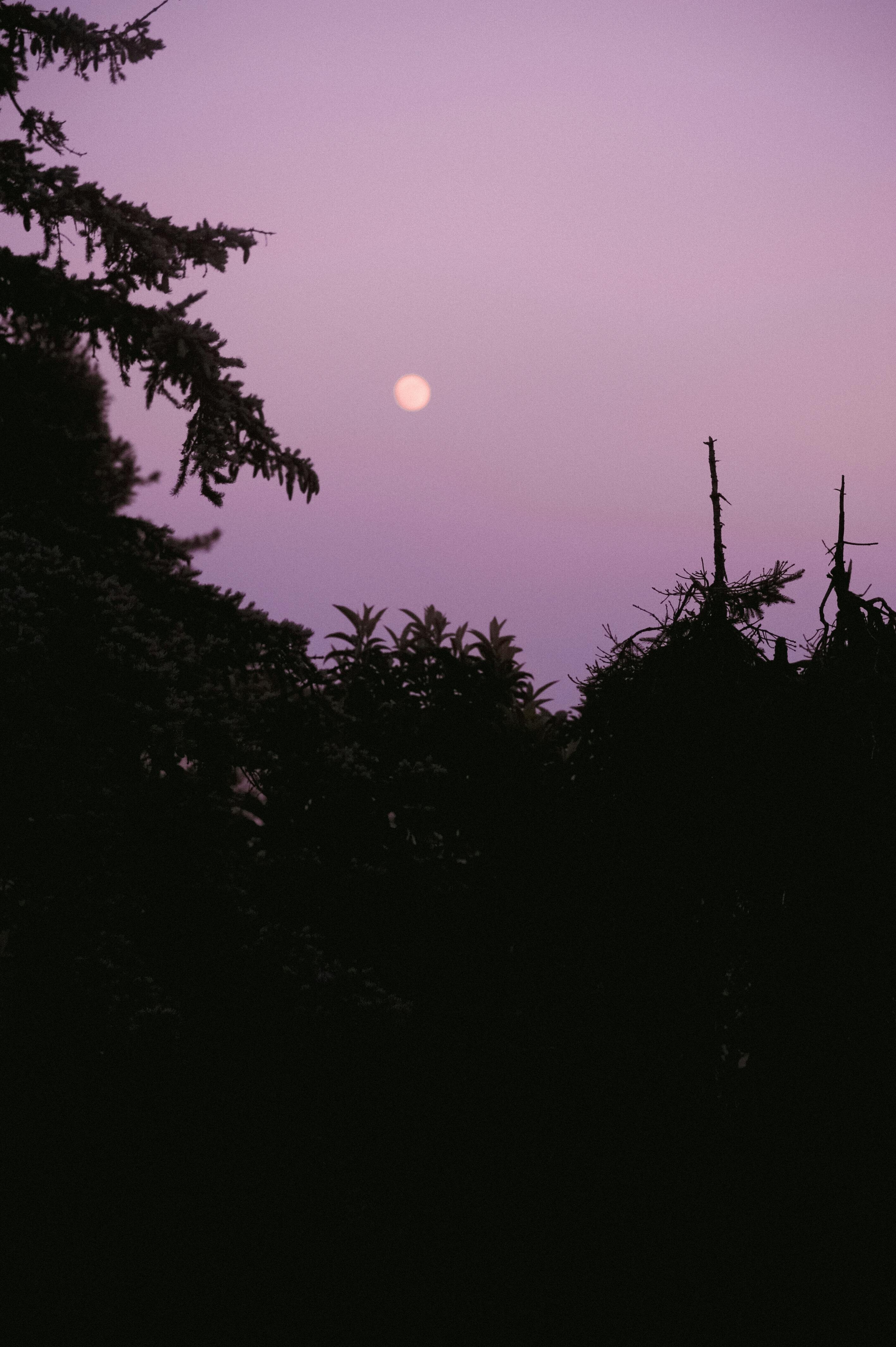 pexels daka 12567062 60de9