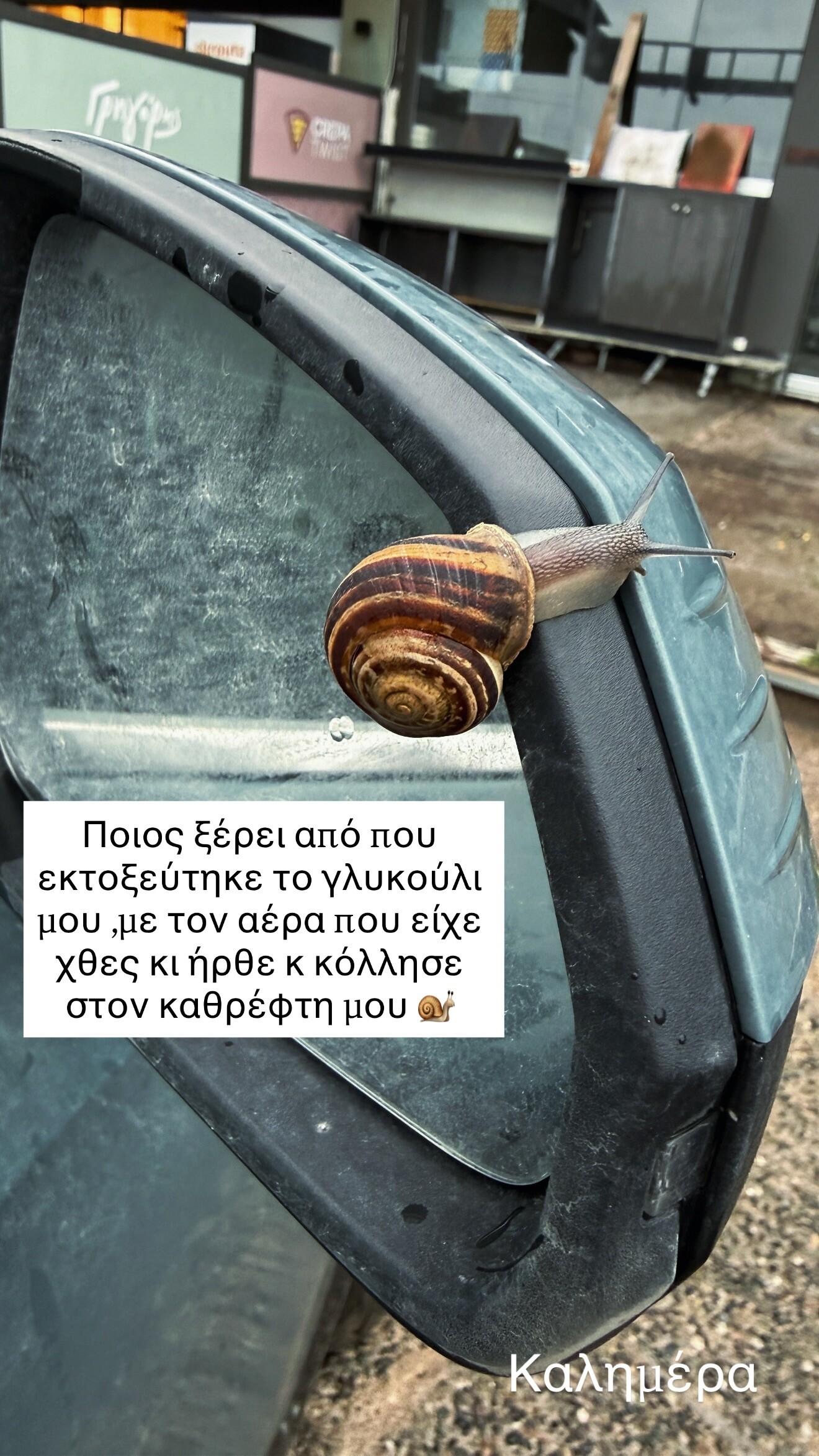 658531985 18584419969042298 9211806494964048923 n 80eff