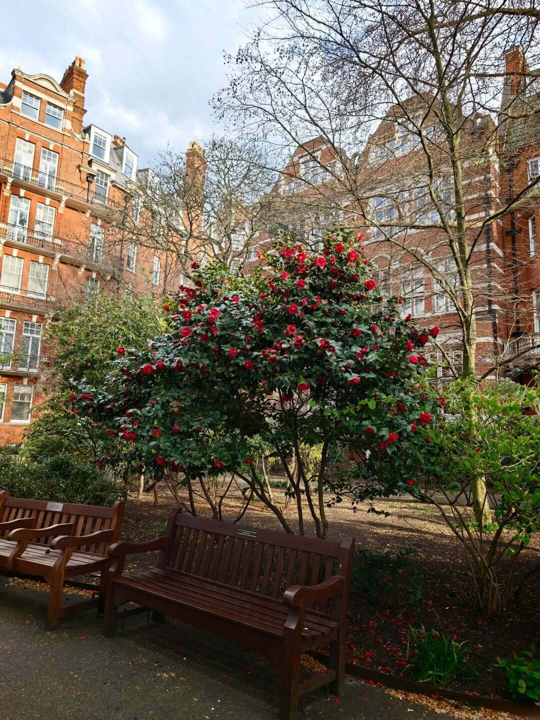 SnapInsta.to 657745969 18582486943049145 367342583141335873 n e08a7