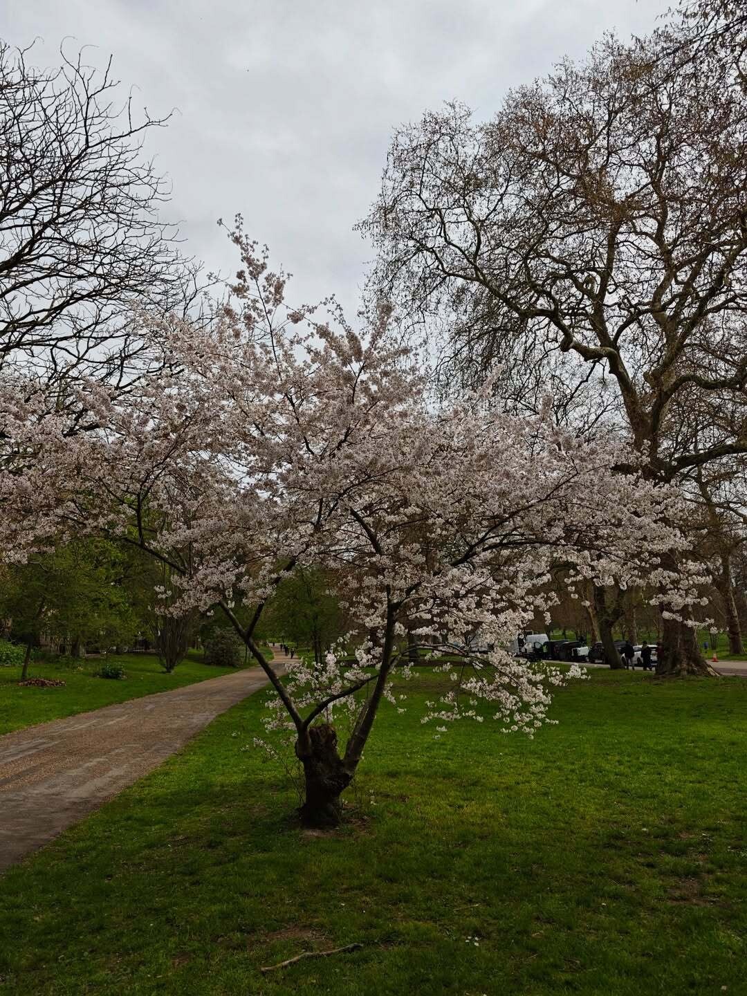 SnapInsta.to 660661334 18582487021049145 1479254482883801728 n 3b382