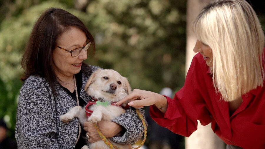 PET_STORIES_18.04_2_bf858.jpg