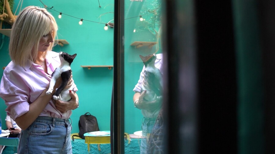 PET_STORIES_18.04_8_9759f.jpg