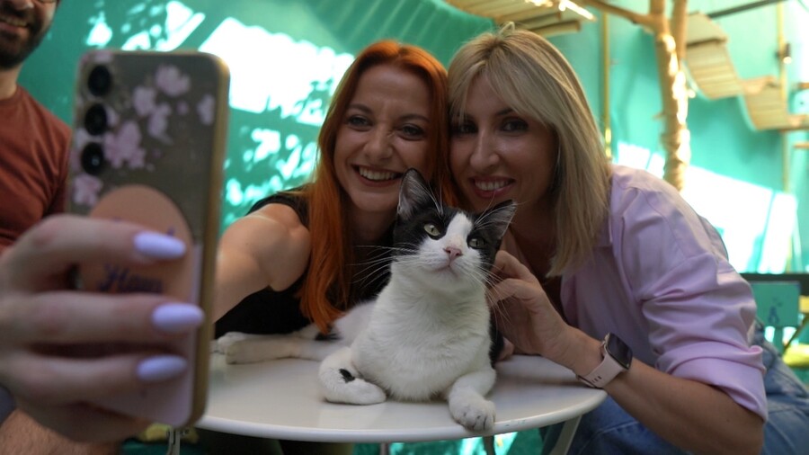 PET_STORIES_18.04_9_0766a.jpg