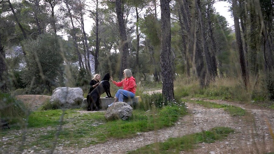 PET_STORIES_25.04_1_c8c39.jpg
