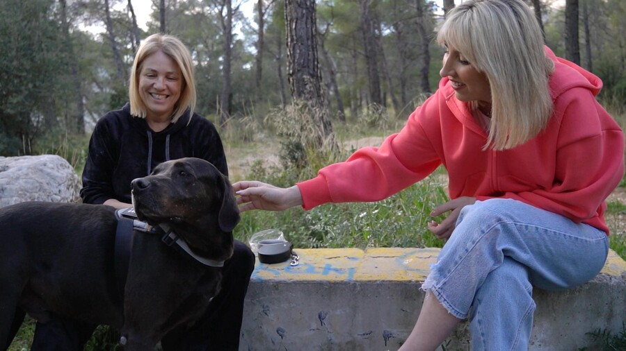 PET_STORIES_25.04_4_45bff.jpg