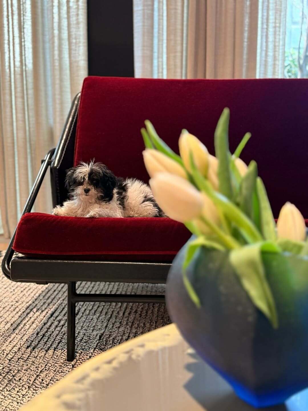 SnapInsta.to 673842705 18591661468012577 4038232506418884852 n b97f5