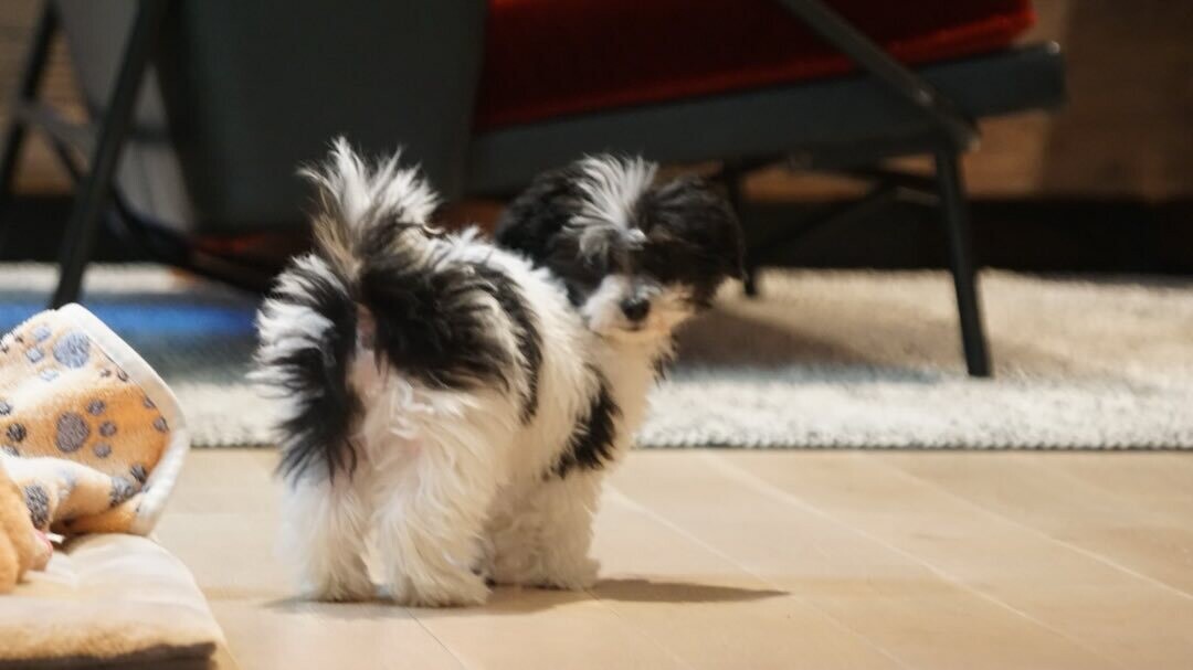 SnapInsta.to 673858206 18591661411012577 243891121937356149 n aca25