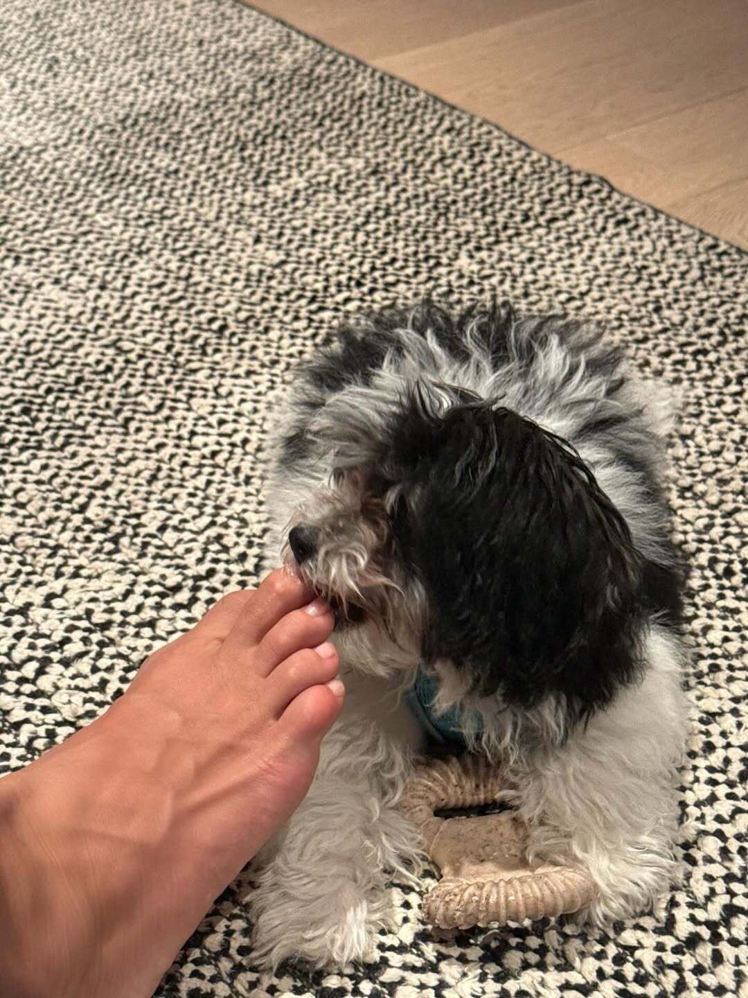 SnapInsta.to 675330843 18591661504012577 1674041360403507927 n 6f57f