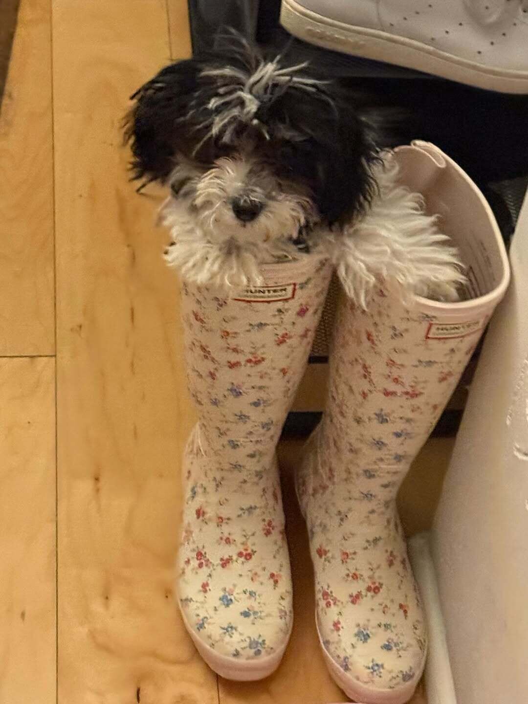 SnapInsta.to 680797692 18591661432012577 3792145063120432802 n 01dad