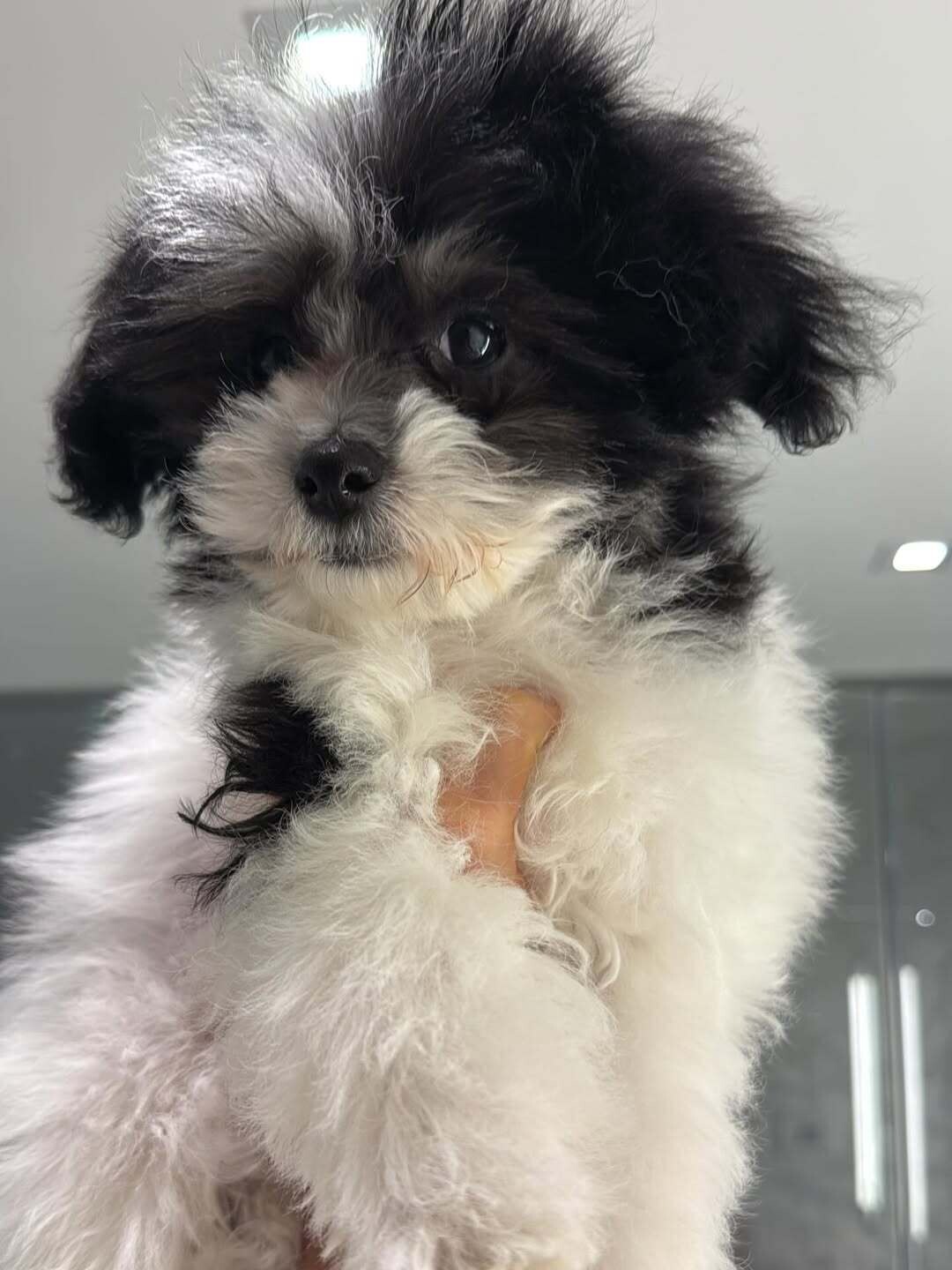 SnapInsta.to 682088734 18591661459012577 3547313185470406910 n 3f2ec