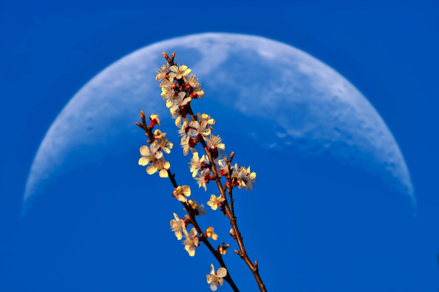 gidlark-IUJlmZDkoX4-unsplash_ebb58.jpg