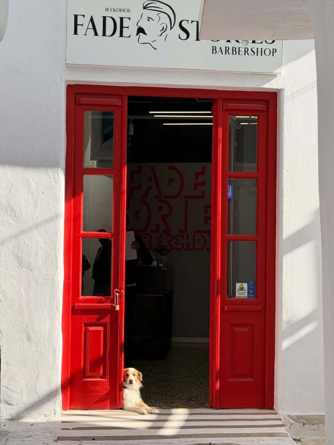 SnapInsta.to 684927032 18466371457100098 7044279625587379324 n ed474