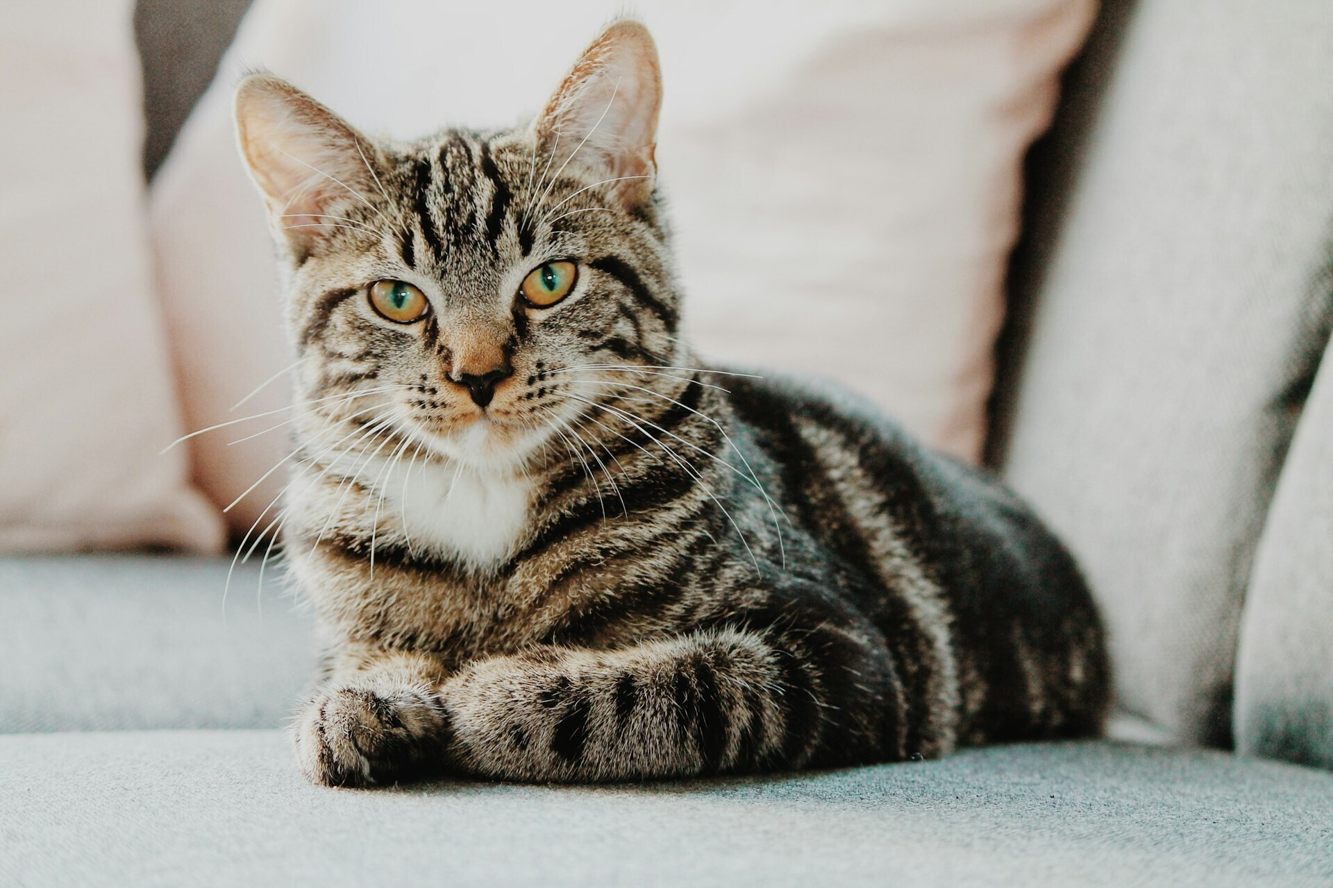 erik jan leusink IbPxGLgJiMI unsplash 2 99e1f