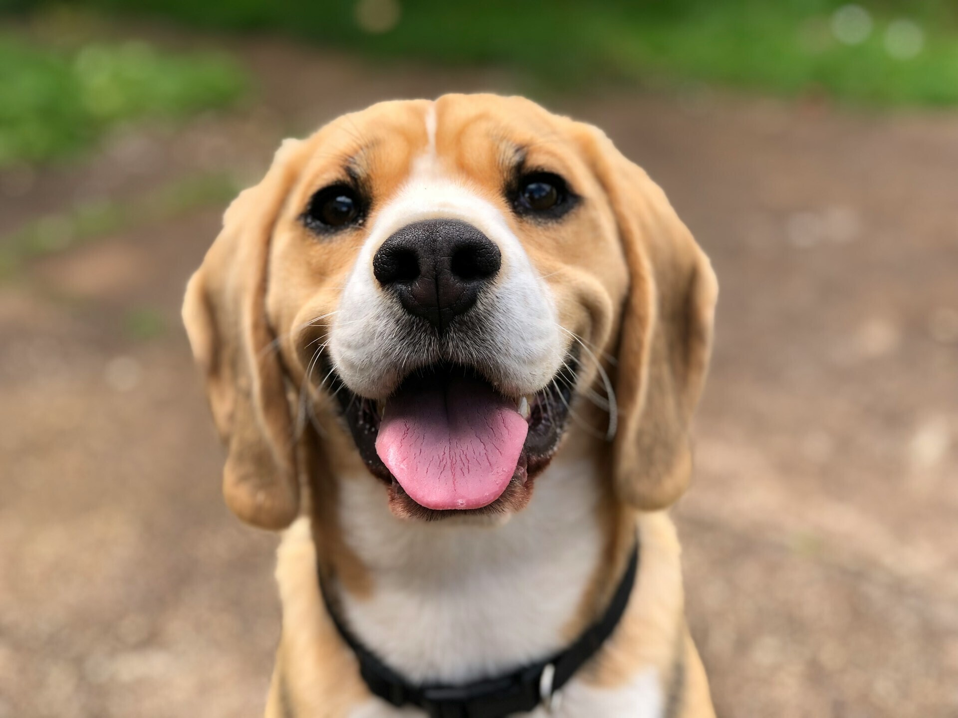 milli 2l0CWTpcChI unsplash b01ba