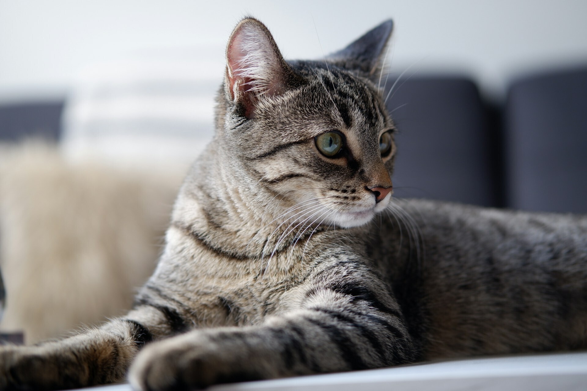 kateryna t eQibvZBAnNM unsplash e617e