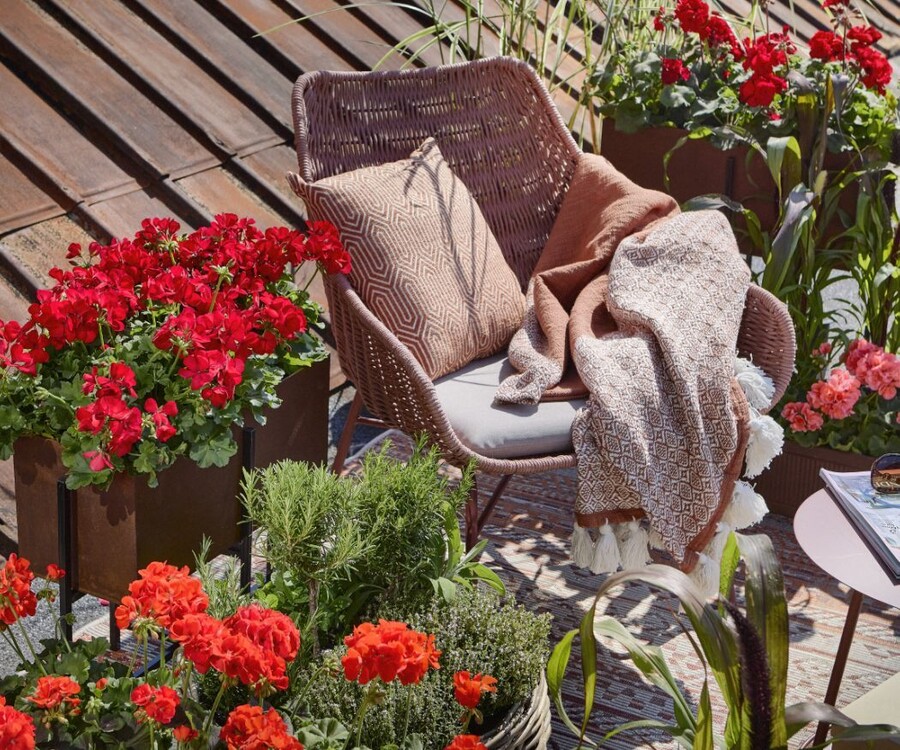 2022-geraniums-5000-boho-country-living-12_34f4d.jpg