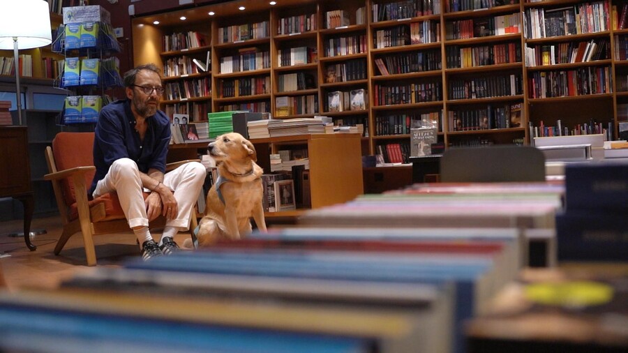 PET_STORIES_09.05_4_d81d9.jpg