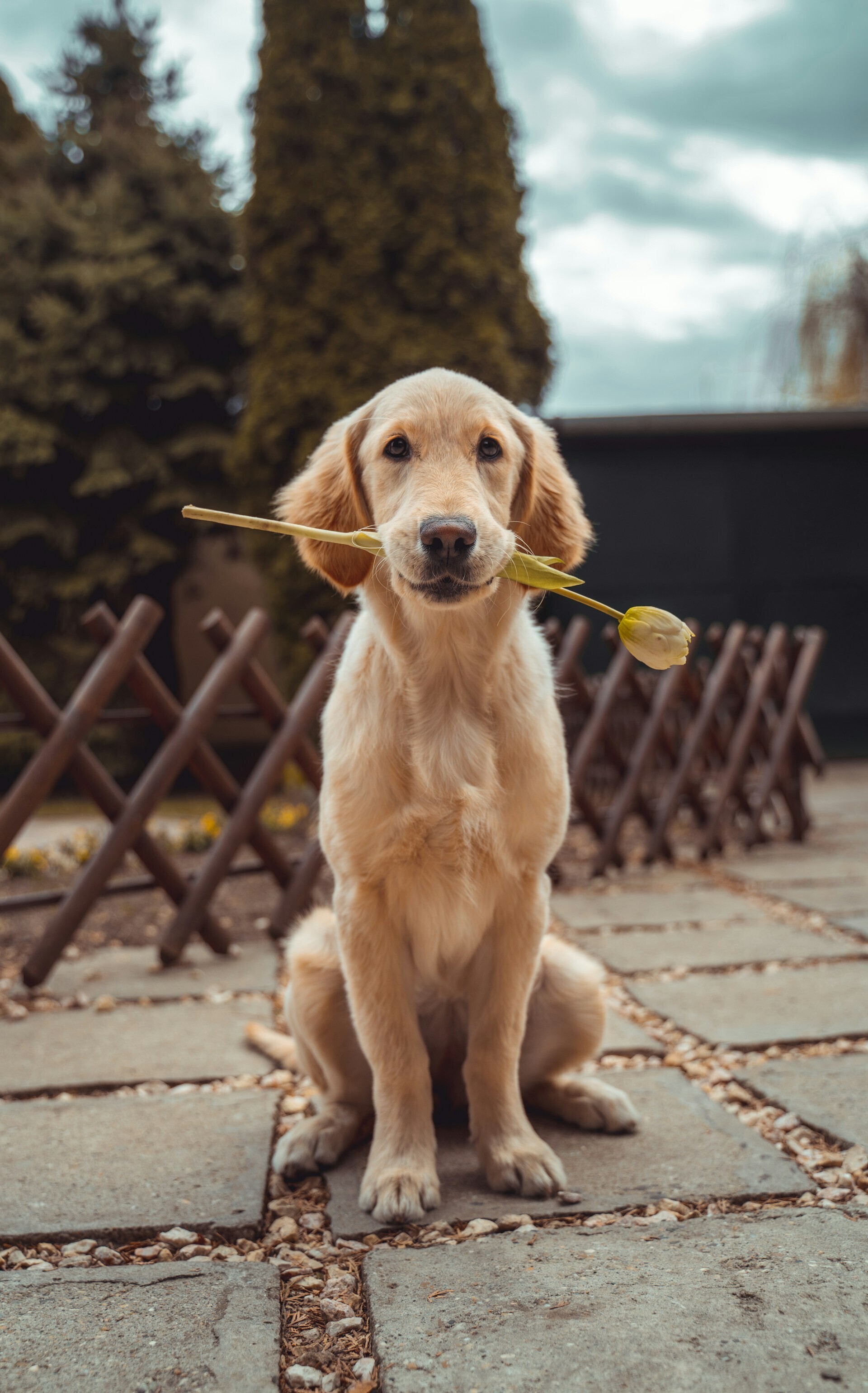 richard brutyo Sg3XwuEpybU unsplash 1 d7bc0