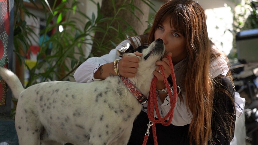 PET_STORIES_16.05_11_421fe.jpg