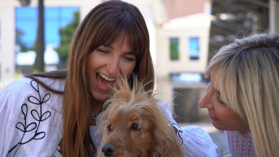 PET_STORIES_16.05_8_af66b.jpg