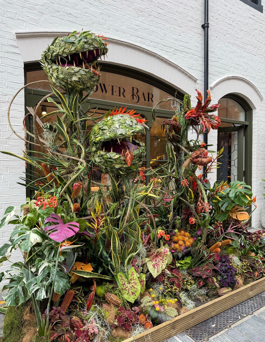 CHELSEA_IN_BLOOM_5_db1b7.jpg