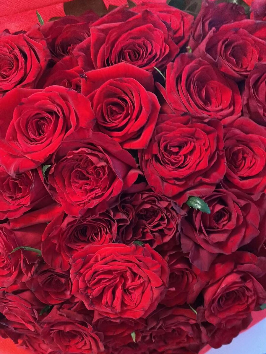 SnapInsta.to_705440787_18416682955182268_6383755596396009544_n_e27b2.jpg