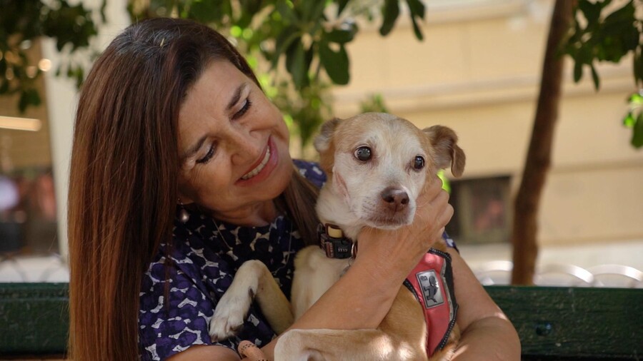 PET_STORIES_23.05_12_cf1e8.jpg