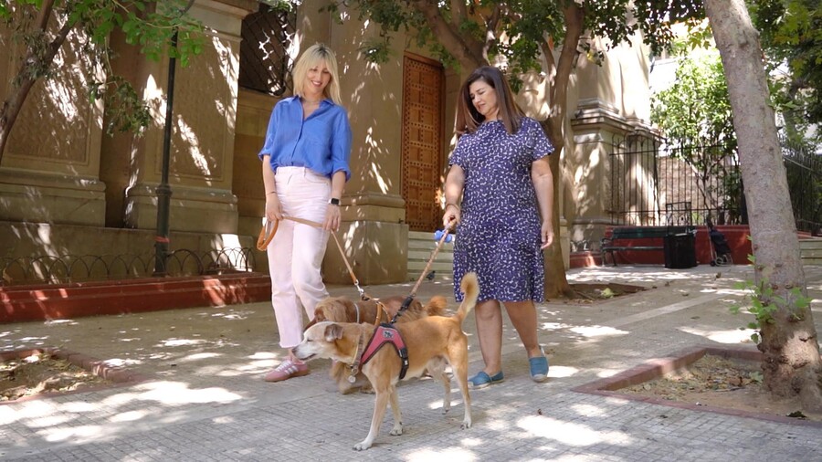 PET_STORIES_23.05_7_dcdff.jpg