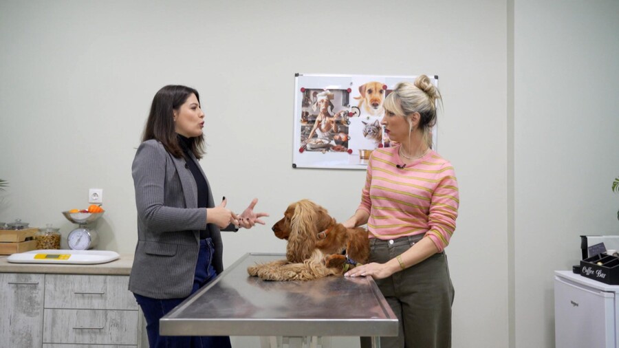 PET_STORIES_30.05_5_17f9e.jpg