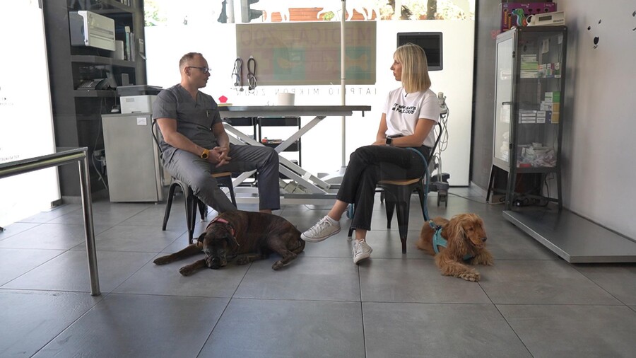 PET_STORIES_30.05_6_b50e3.jpg