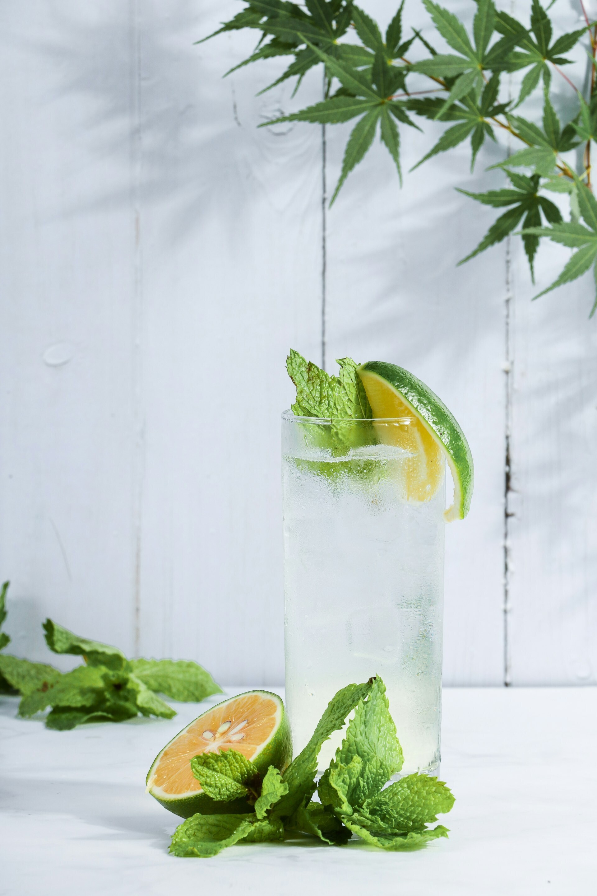 morton xiong bdjXtsFNZcc unsplash 7f89c