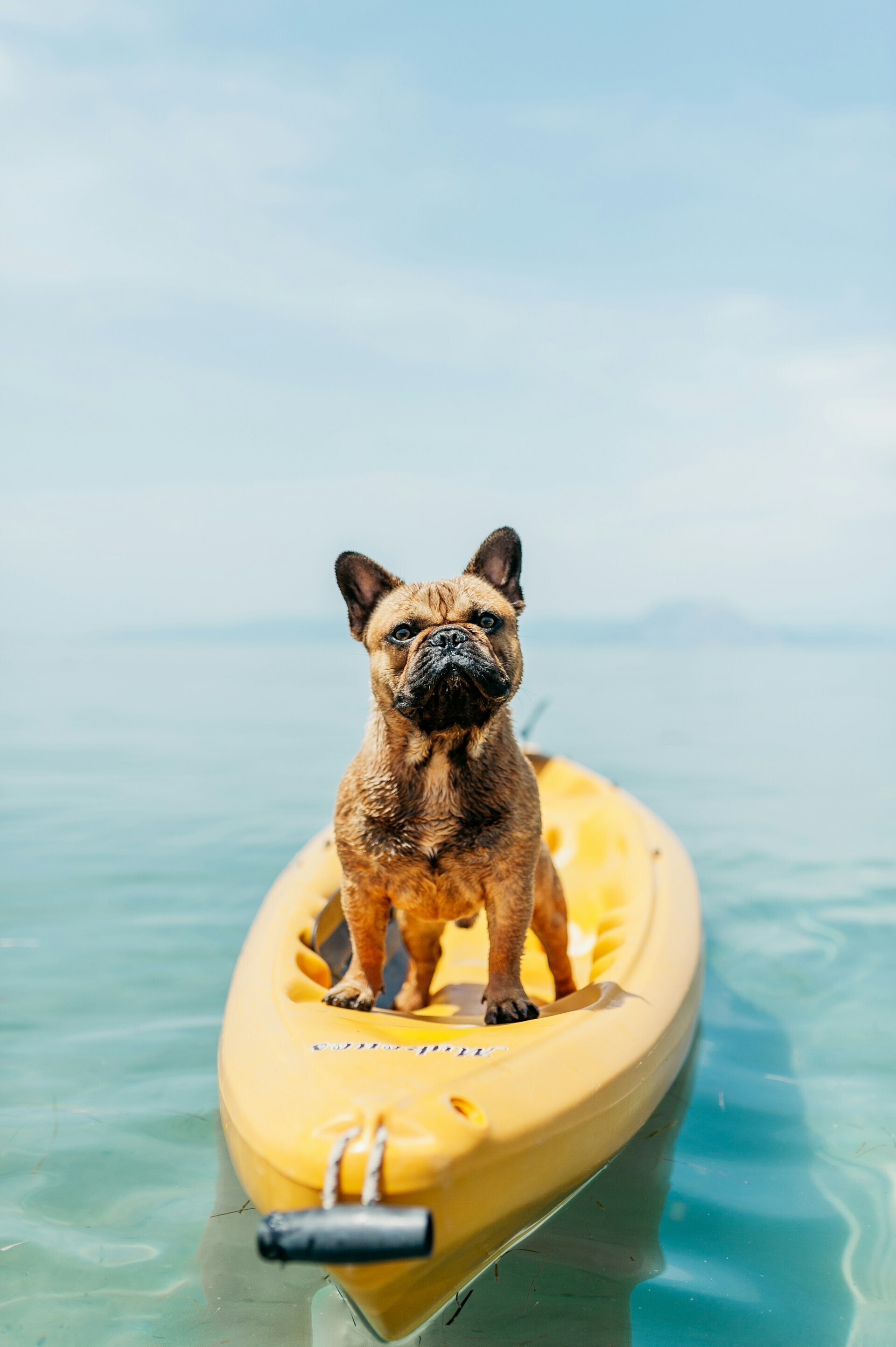 angelo pantazis wT3lf5qweEI unsplash 5f6f5