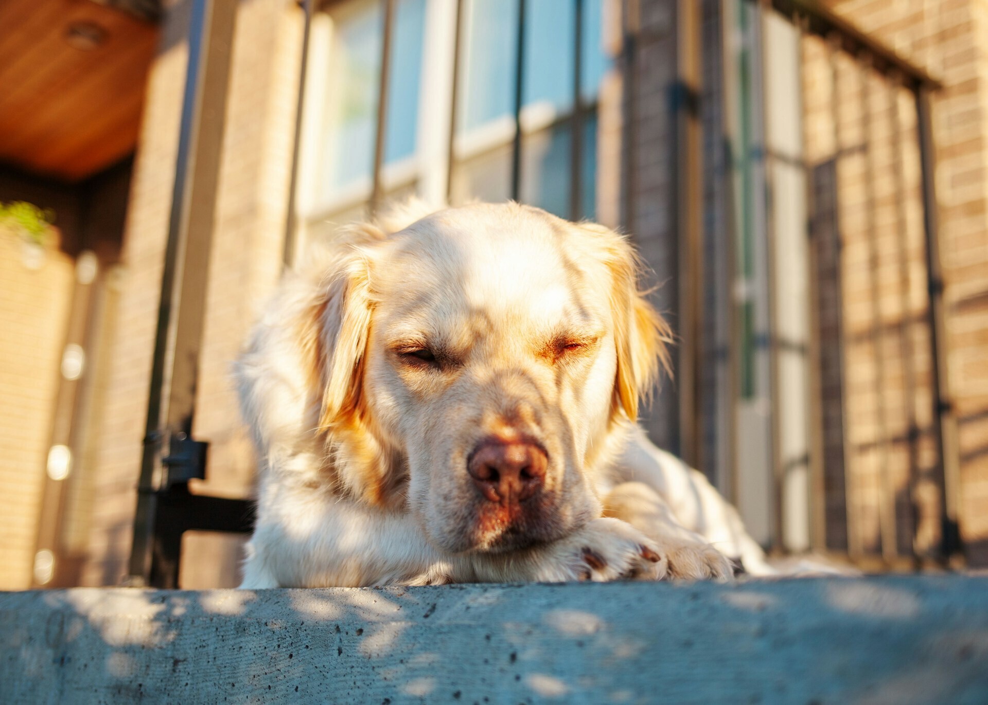 taylor kidd DLQ9waqsvjo unsplash c497a