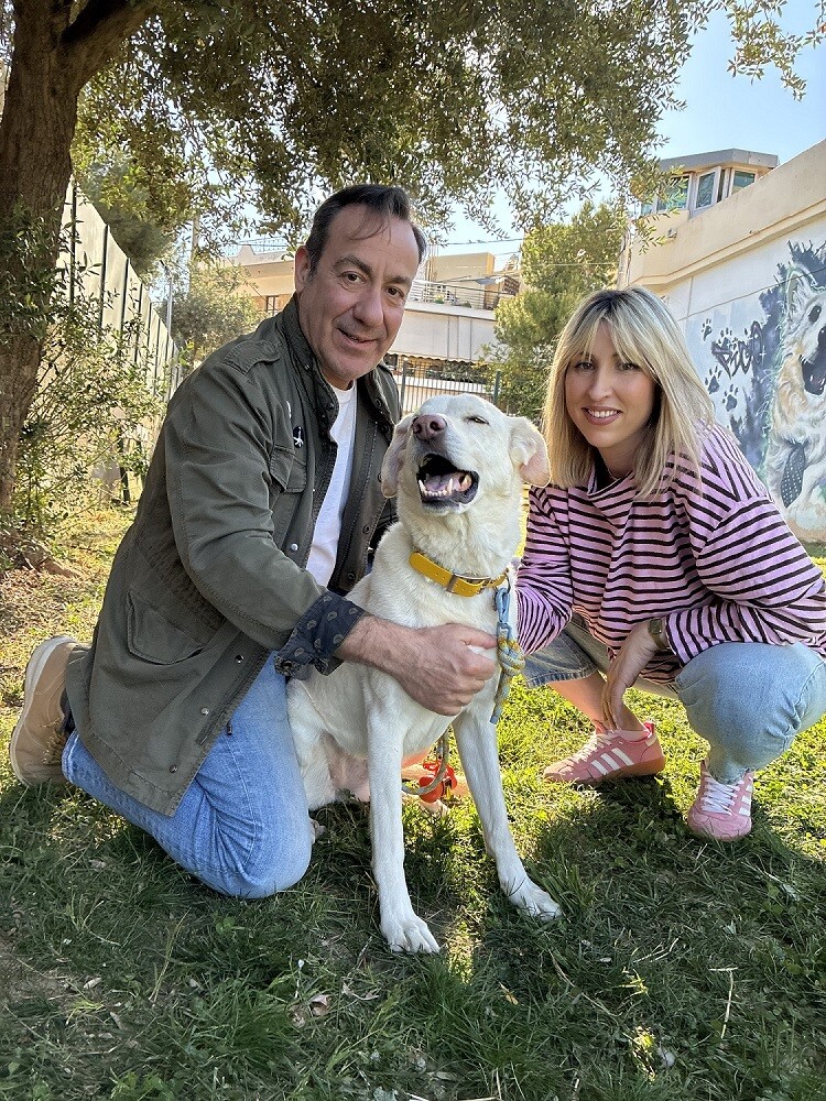 PET_STORIES_06.06_1_e4c03.jpeg