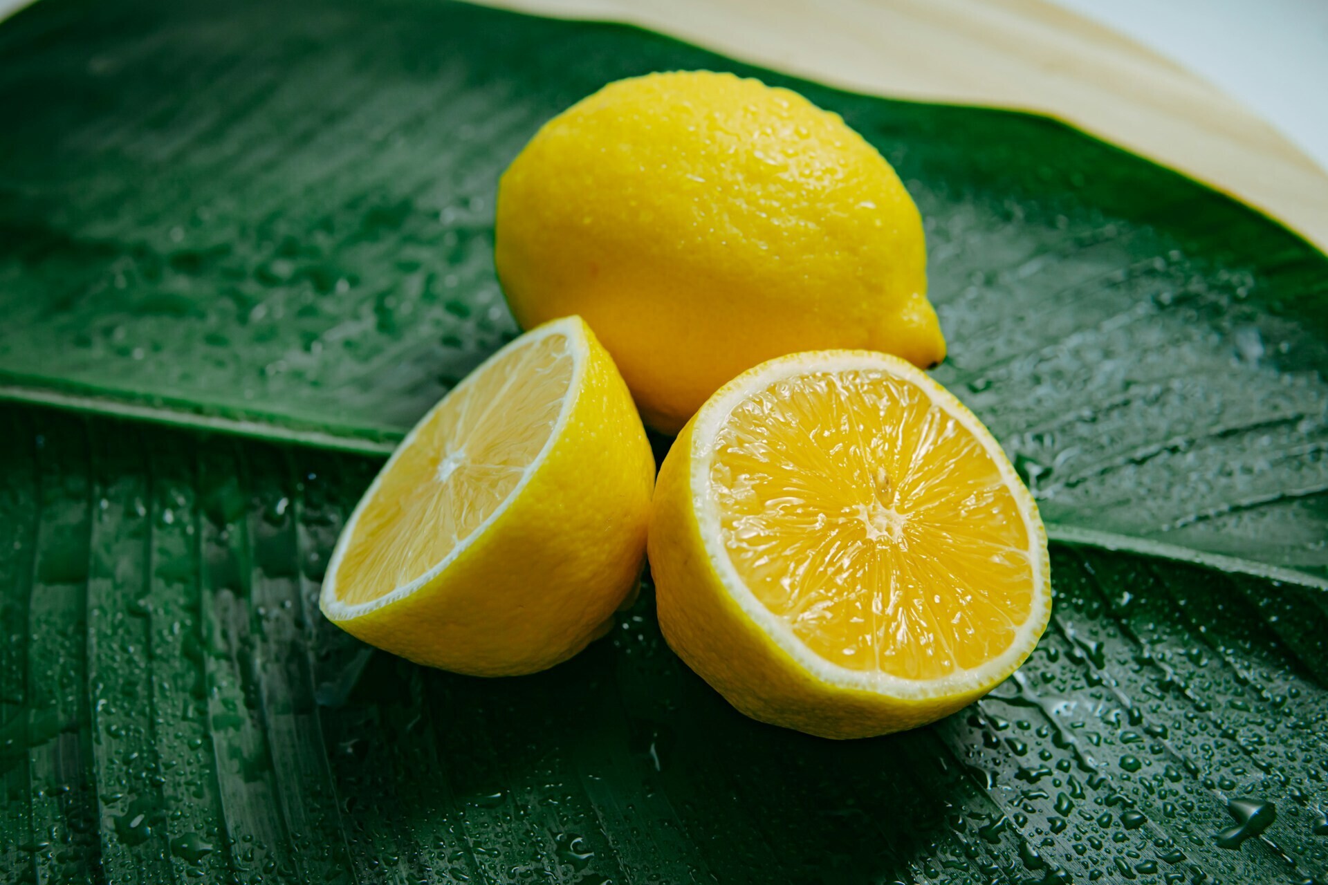 han lahandoe y spQMQTFjs unsplash 22868