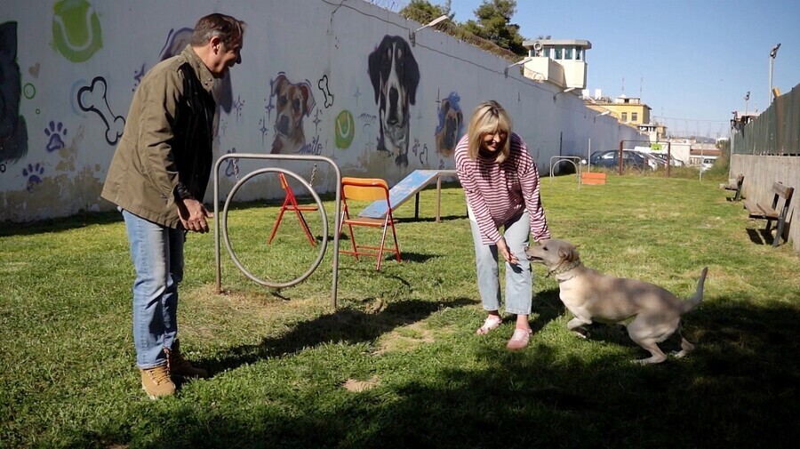 PET STORIES 06.06 1 b217f ddd16